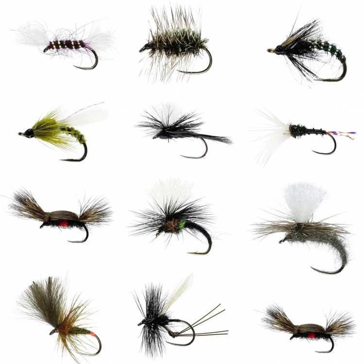 Caledonia Flies Barbless April Stillwater Dry Collection #12-18 Fishing Fly Assortment